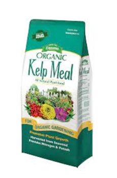 Espoma Kelp Meal