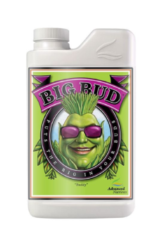 Big Bud