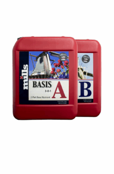 Basis A & B